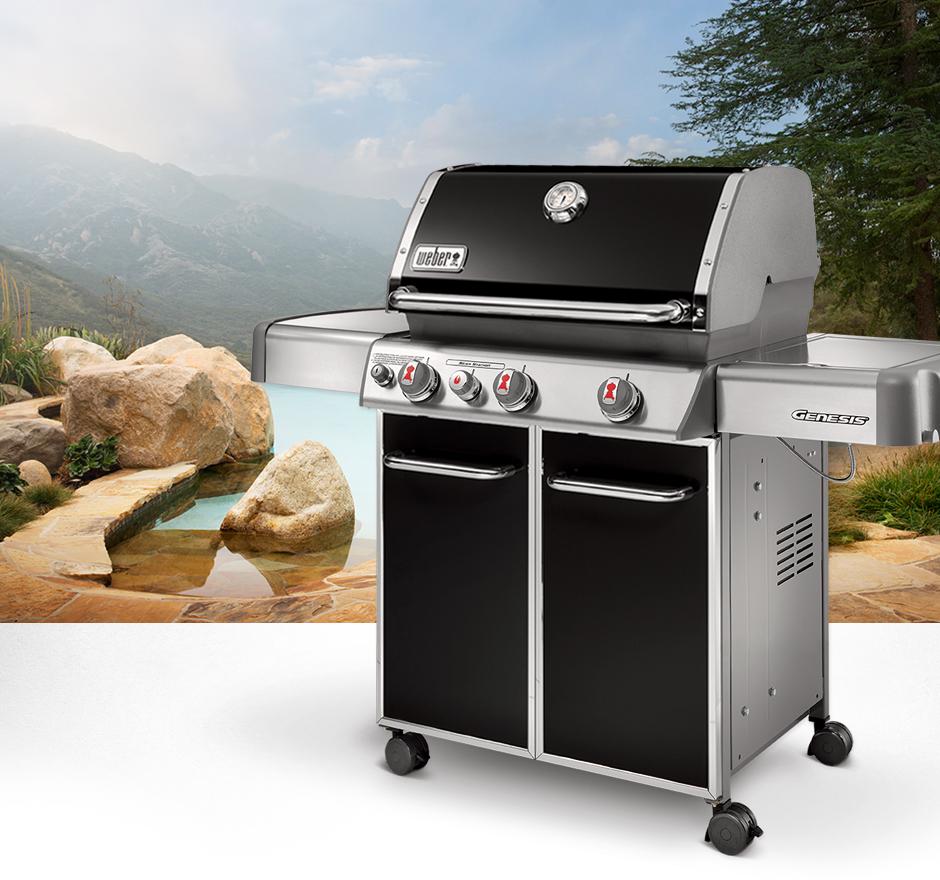 Weber Gas Grill Genesis E 330 Bruin Blog